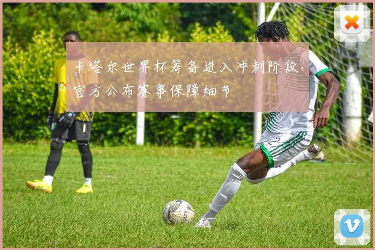 卡塔尔世界杯筹备进入冲刺阶段，官方公布赛事保障细节 - 搜狐体育推荐