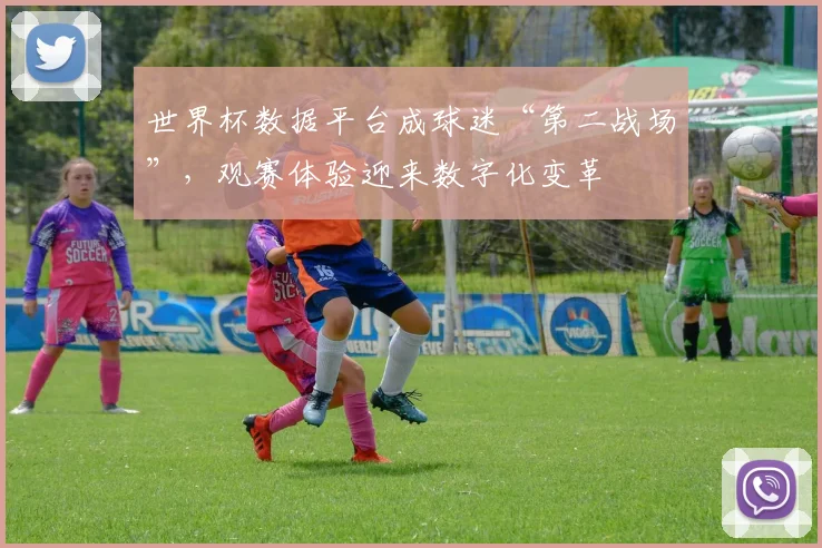 世界杯数据平台成球迷“第二战场”，观赛体验迎来数字化变革 - 搜狐体育推荐