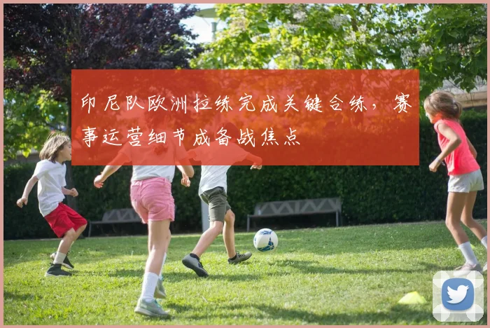 印尼队欧洲拉练完成关键合练，赛事运营细节成备战焦点 - 搜狐体育推荐