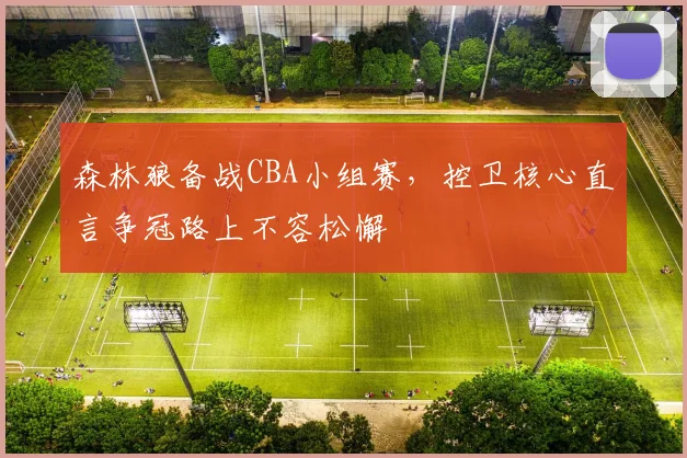 森林狼备战CBA小组赛，控卫核心直言争冠路上不容松懈 - 搜狐体育推荐