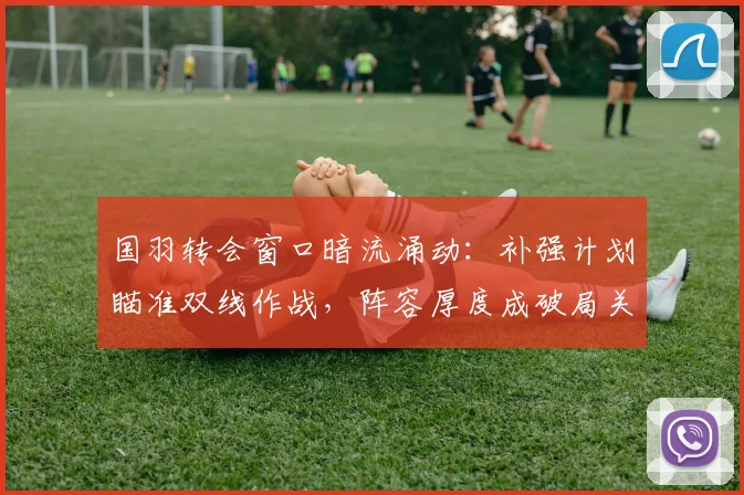 国羽转会窗口暗流涌动：补强计划瞄准双线作战，阵容厚度成破局关键 - 搜狐体育资讯