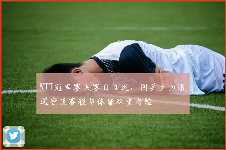 WTT冠军赛决赛日临近，国乒主力遭遇密集赛程与体能双重考验 - 搜狐体育推荐