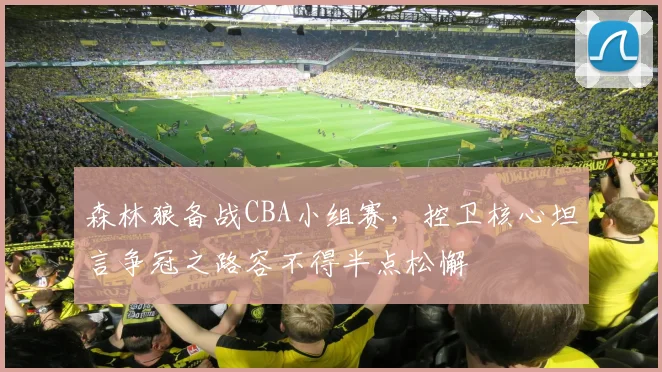 森林狼备战CBA小组赛,控卫核心坦言争冠之路容不得半点松懈 - 搜狐体育推荐