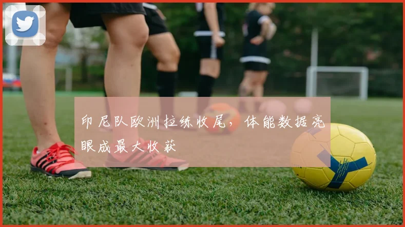 印尼队欧洲拉练收尾，体能数据亮眼成最大收获 - 搜狐体育推荐