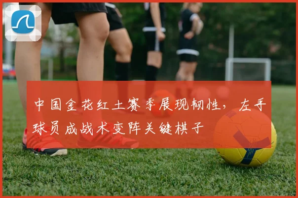 中国金花红土赛季展现韧性，左手球员成战术变阵关键棋子 - 搜狐体育图集