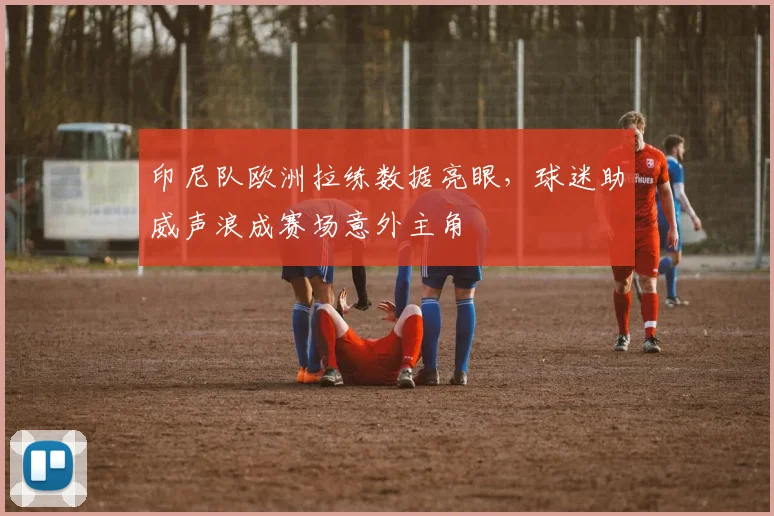 印尼队欧洲拉练数据亮眼，球迷助威声浪成赛场意外主角 - 搜狐体育推荐