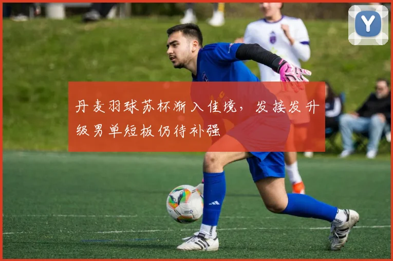 丹麦羽球苏杯渐入佳境，发接发升级男单短板仍待补强 - 搜狐体育推荐